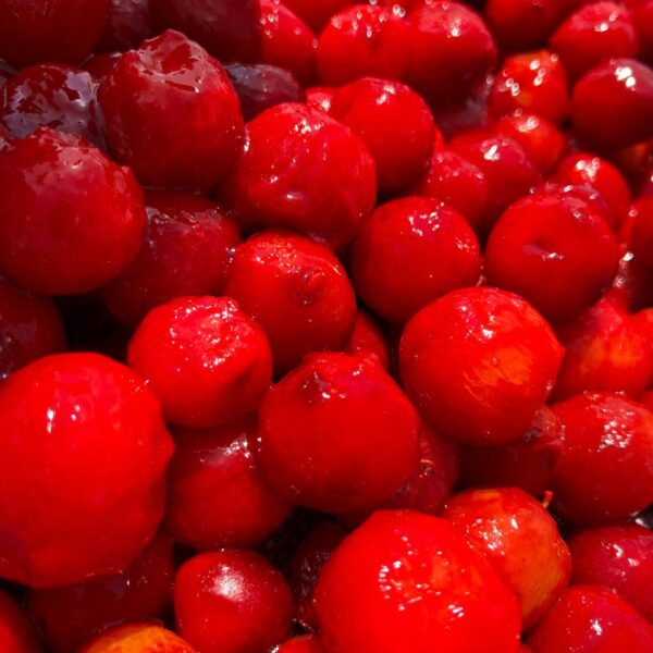 cherry plum