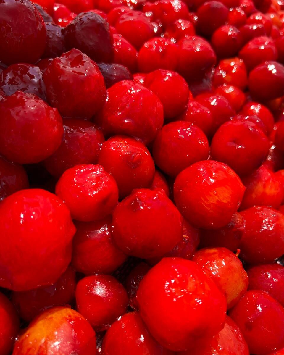 cherry plum